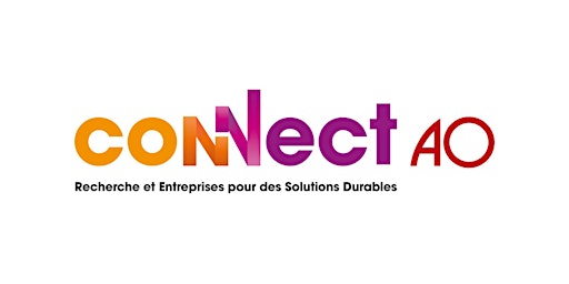 ATELIER D'INTELLIGENCE COLLECTIVE CONNECT AO primary image