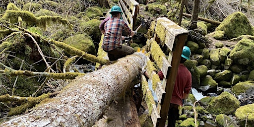 Primaire afbeelding van Oneonta Trail Party - Gorge