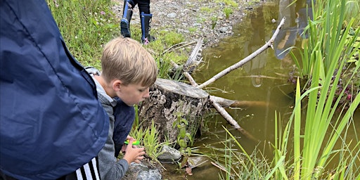 Imagem principal de Become a Wildlife Champion - Nature  Club for 5-11 year olds