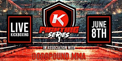 KW Fighting Series 1 primary image
