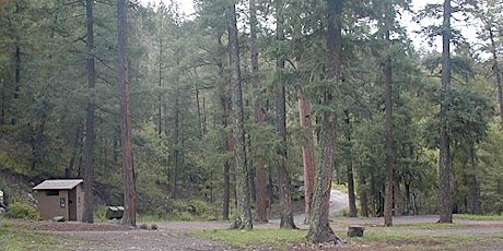 Gila 100: Bird Outing at Railroad Canyon