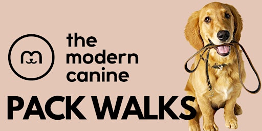 Dog Pack Walk in Belle Mead NJ | The Modern Canine - Dog Store & Grooming primary image