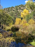 Immagine principale di Gila 100: Bird Outing at Sapillo Creek 