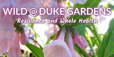Primaire afbeelding van Wild @ Duke Gardens  (Session 3)