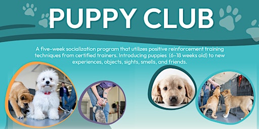 Imagem principal do evento Puppy Club - Saturday, May 25th at 11:45am