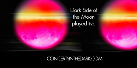 Dark Side of the Moon LIVE Unplugged with Award Winning Violinist