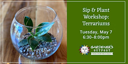 Immagine principale di Sip and Plant Workshop:  Terrariums! 