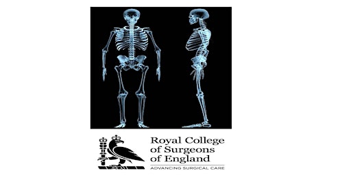 Primaire afbeelding van Orthopaedic Evaluation of X-Rays - OEOX Course