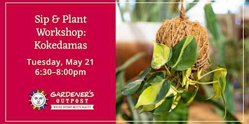 Sip and Plant Workshop:  Kokedamas primary image