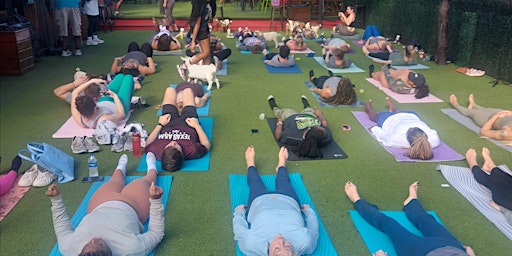 Imagem principal do evento Goat Yoga Houston At Little Woodrows EADO Saturday May 4th 11AM