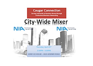 Network In Action City-Wide Mixer