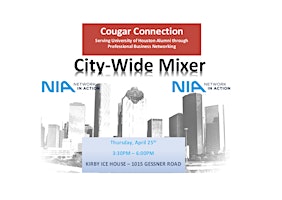 Network In Action City-Wide Mixer primary image