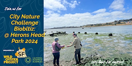 City Nature Challenge Bioblitz at Heron's Head Park