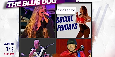 The Fusion Band Live @ THE BLUE DOG Friday April 19th!