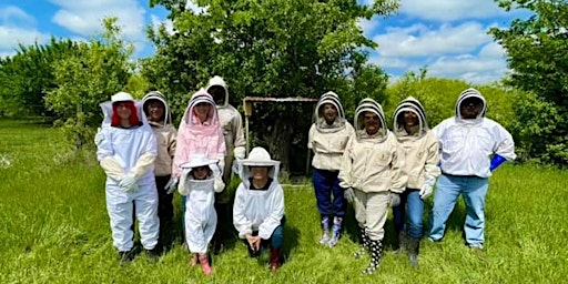 Beekeeping 101 primary image