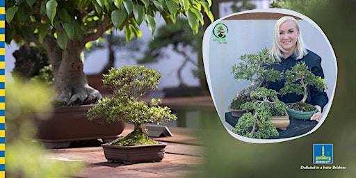 Imagen principal de Lilliannah Bonsai Workshop