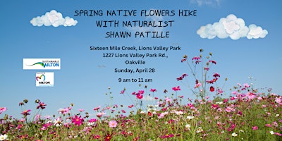 Imagem principal do evento Spring Native Flowers Hike