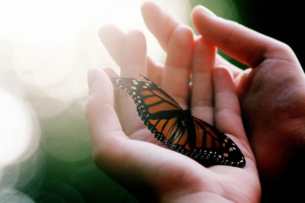 Fall 2019 - Loss by Suicide (9 Week Grief & Bereavement Support Program)