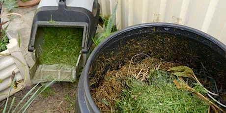 Imagem principal de Online - Worm farming and composting - May 2024