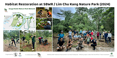 Imagem principal do evento Habitat Restoration at SBWR/Lim Chu Kang Nature Park (May 2024)