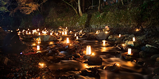 Hauptbild für Healing Lineage: A Shamanic Journey into Ancestral Wisdom