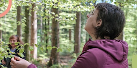 Frühlingsfrische im Wald – Waldbaden im Mai primary image