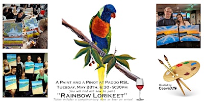 Primaire afbeelding van A Paint and a Pinot at Paddo RSL. "Rainbow Lorikeet".