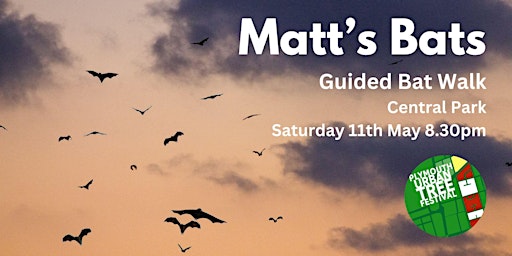 Matt's Bats - A Guided Bat Walk in Central Park, Saturday 11th May primary image
