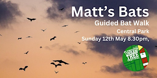 Matt's Bats - A Guided Bat Walk in Central Park, Sunday 12th May primary image