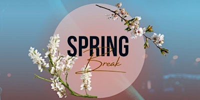 Imagen principal de SPRING BREAK