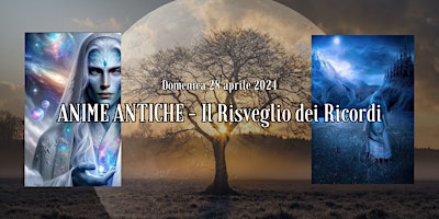 Immagine principale di ANIME ANTICHE - Il Risveglio dei Ricordi (Esperienza nel Bosco) 