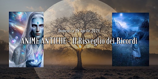 ANIME ANTICHE - Il Risveglio dei Ricordi (Esperienza nel Bosco) primary image