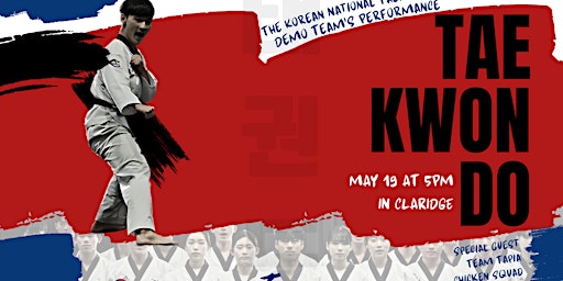 Primaire afbeelding van The Korean National Taekwondo Demonstration Team’s Performance in Belgium