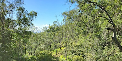 Primaire afbeelding van Toohey Forest Circuit