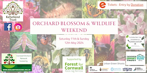 Hauptbild für Orchard Blossom & Wildlife Weekend