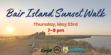 Bair Island Sunset Walk