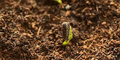 Imagen principal de Créer une jardinière de récup'