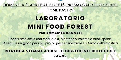 Immagine principale di Laboratorio Mini Food Forest 