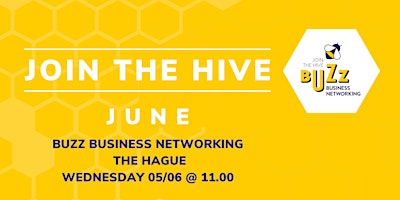 Image principale de June 2024 Buzz Business Networking Meet Up – The Hague