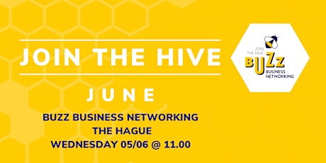 Primaire afbeelding van June 2024 Buzz Business Networking Meet Up – The Hague