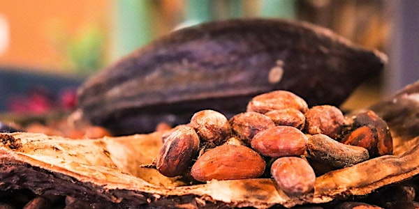 Kakaozeremonie mit 2-Punkt-Methode