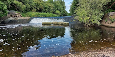 Chilled Out Walk: Bank Holiday Kirkstall Nature Reserve