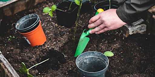 Primaire afbeelding van Tous au potager