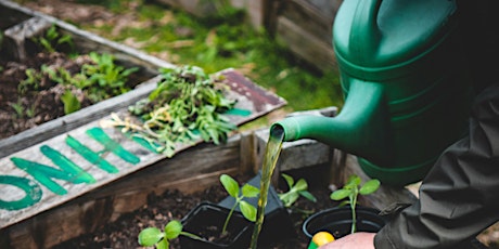 Tous au potager #2