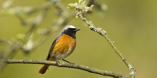 Visit to Woodhall Dean Wildlife Reserve