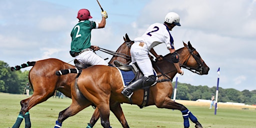 The Warwickshire Cup primary image