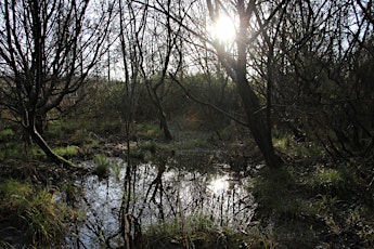 Guided Biodiversity Walk at Gracedieu Wood for Biodiversity Week primary image