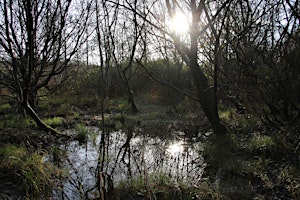 Imagem principal do evento Guided Biodiversity Walk at Gracedieu Wood for Biodiversity Week