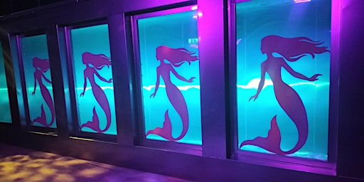 Immagine principale di Sensory live mermaid show (designed for those with additional needs ) 