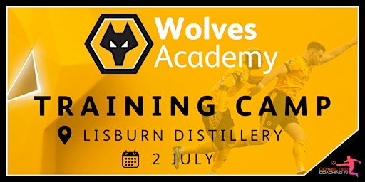 Primaire afbeelding van Wolves Academy Training Camp Hosted by Lisburn Distillery FC